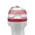 Structured Patriotic Ball Cap